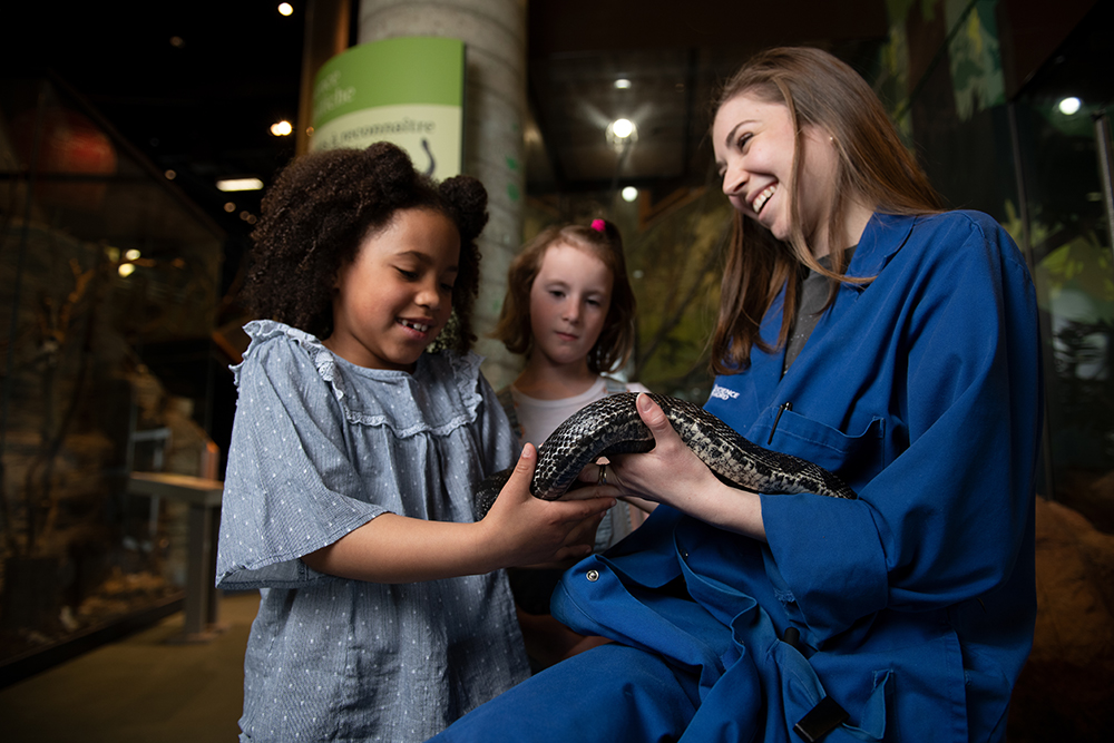 3rd floor northern ecosystems snake