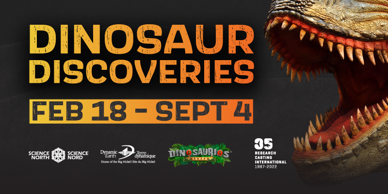 dinosaur discoveries at dynamic earth