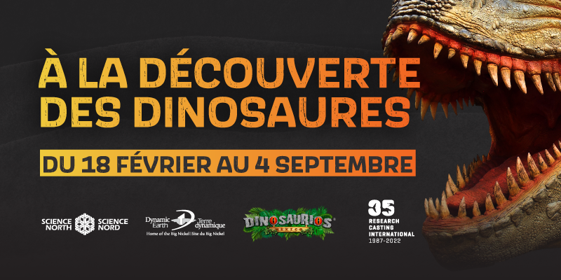 à la découverte des dinosaures à science nord