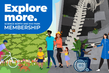 explore more science north and kivi park family membership