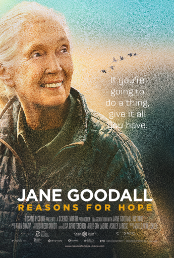 jane goodall – raisons d'espérer en imax