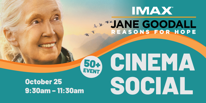 cinema social 50+ event