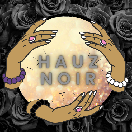 hauz noir logo