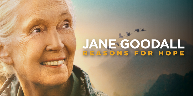 jane goodall des raisons d'espérer