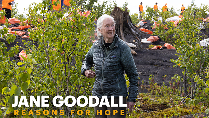 jane goodall – reasons for hope