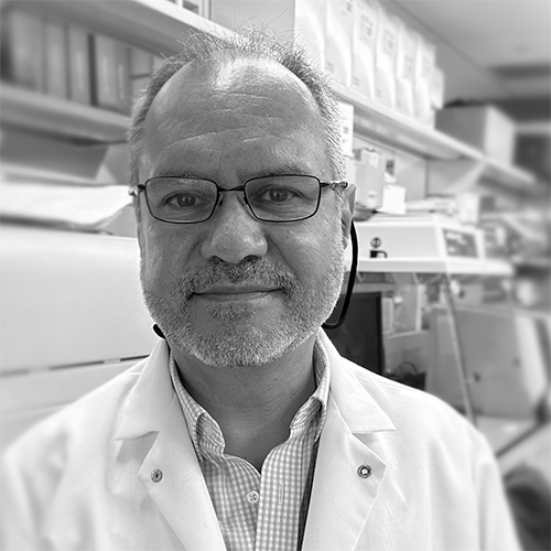 dr. gustavo ybazeta