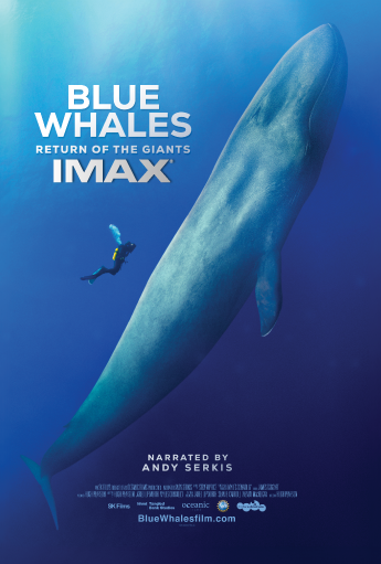 blue whales return of the giants 3D