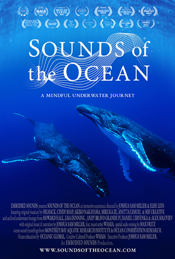 affiche du film sounds of the ocean