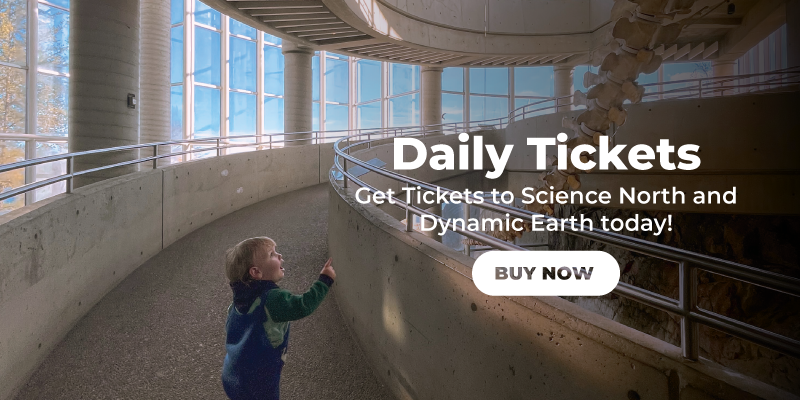 boy on the science north ramp with fin whale skeleton in background