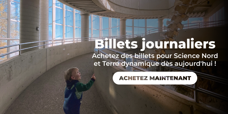 garçon sur la rampe de science nord avec un squelette de rorqual commun en arrière-plan