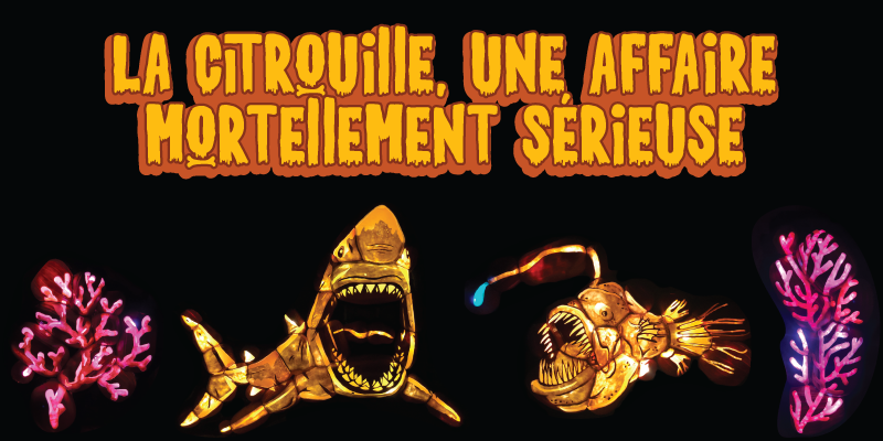la citrouille une affaire mortellement sérieuse — requin, poisson piranha et corail en citrouille