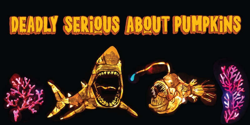 deadly serious about pumpkins — shark, piranha fish, and coral made of pumpkins