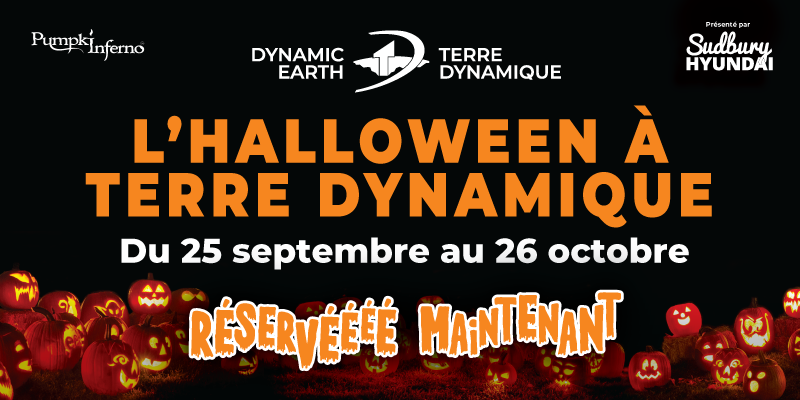 réservéééé maintenant! l'halloween à terre dynamique