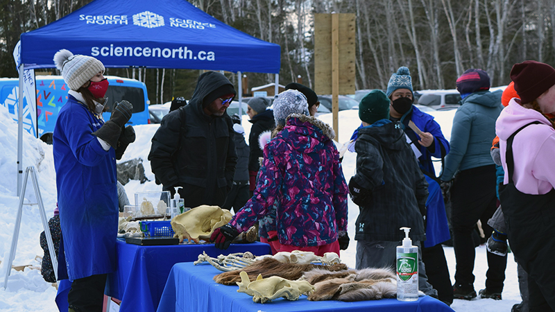 example of an outreach public exhibit — table with various skulls and furs with bluecoats explaining to visitors