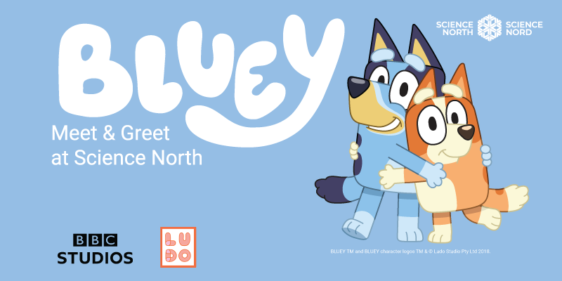 Light blue promotional banner for a “Bluey” event at Science North. On the left, the word “BLUEY” appears in very large, white, bubbly letters. Below it in smaller white text: “Meet & Greet at Science North”. Beneath that, in bold, rounded white lettering: “April 4th | 11AM – 3PM”. On the right side, the cartoon characters Bluey (blue dog) and Bingo (orange dog) stand smiling and hugging; Bluey’s arm wraps around Bingo’s shoulders, and Bingo leans in happily. In the top-right corner are two white Science North logos (wordmark with a snowflake/starburst icon). Along the bottom-left are the BBC Studios logo and the Ludo Studio logo. A small copyright line sits near the bottom-right edge.