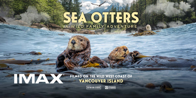 IMAX poster for Sea Otters: A Wild Family Adventure showing two sea otters floating in ocean water surrounded by kelp, with a forested shoreline and birds in the background.