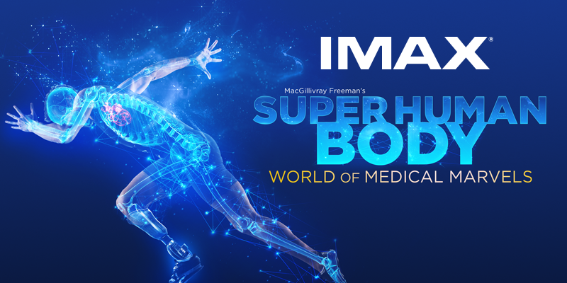 IMAX promotional graphic for Super Human Body: World of Medical Marvels showing a glowing digital human figure running, with visible internal anatomy and sci‑fi blue background.
