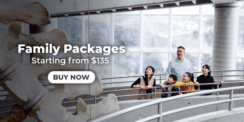Interior of Science North showing a curved walkway with a large skeletal exhibit on the left. A group of visitors stands at a railing looking out toward tall windows with a snowy landscape. Text reads “Family Packages Starting from $135” with a “Buy Now” button.