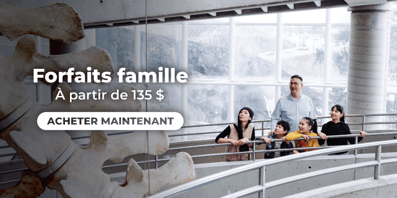Intérieur de Science Nord avec une passerelle courbée et une grande structure de type squelette à gauche. Un groupe de visiteurs regarde par de grandes fenêtres donnant sur un paysage enneigé. Texte : « Forfaits famille à partir de 135 $ » avec un bouton « Acheter maintenant ».