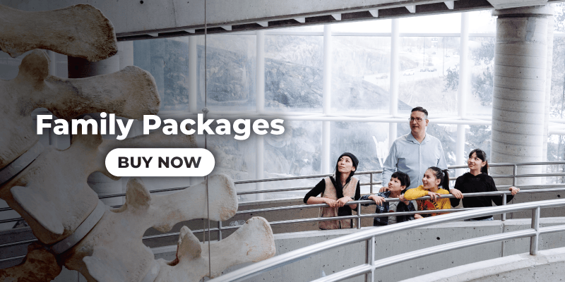 Promotional graphic for Family Packages showing a group of visitors looking at a large exhibit inside Science North, with the text “Family Packages” and a “Buy Now” button overlaid on the image.
