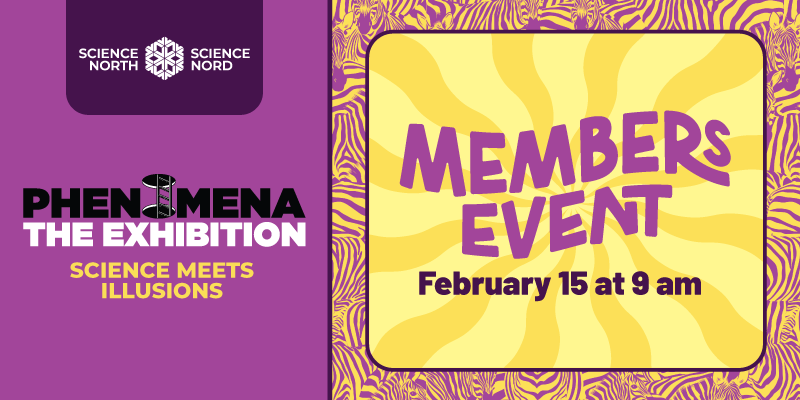 Science North promotional graphic for “Phenomena: The Exhibition” with the tagline “Science Meets Illusions,” announcing a “Members Event” on February 15 at 9 am, with a yellow patterned background and zebra-style border.
