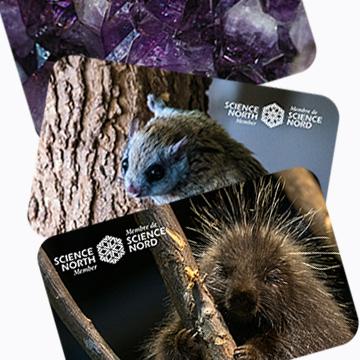 membership cards