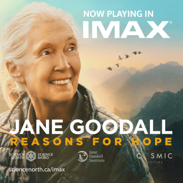 jane goodall reasons for hope film poster