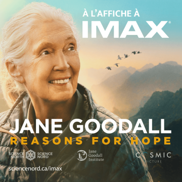affiche du film jane goodall reasons for hope