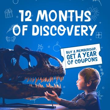 picture of a young boy interacting with a dinosaur skull against on a blue background with illustrated holiday icons