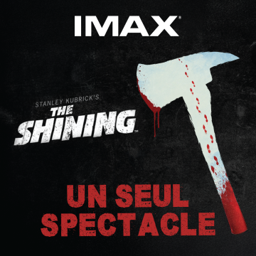 l'affiche du film shining avec une hache ensanglantée