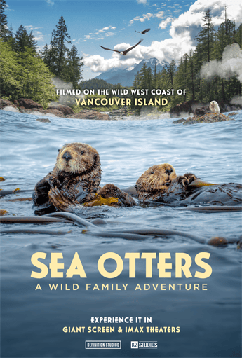 IMAX poster for Sea Otters: A Wild Family Adventure showing two sea otters floating in ocean water among kelp, with a forested shoreline, birds in flight, and mountains in the background.
