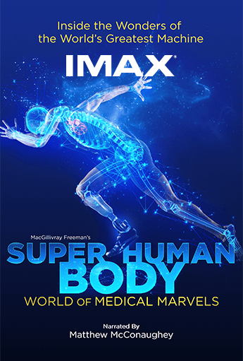 IMAX poster for Super Human Body: World of Medical Marvels showing a glowing digital human figure running, with visible internal anatomy in blue tones against a dark, star‑like background. Text includes “IMAX” and “Inside the Wonders of the World’s Greatest Machine,” with narration credit to Matthew McConaughey.