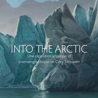 into the arctic : une exposition artistique et cinématographique