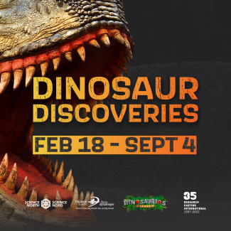 dinosaur discoveries a passage through time