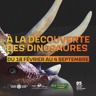 à la découverte des dinosaures : un passeport à travers le temps