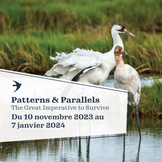 patterns and parallels 10 novembre 2023 à 7 janvier 2024