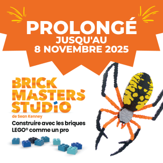 araignée faite de briques lego