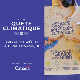 quatre mains tenant des crayons de couleur et coloriant différents éléments liés au climat — la terre, un vélo, des nuages, etc. — sur une grande feuille de papier brun étalée sur une table commune