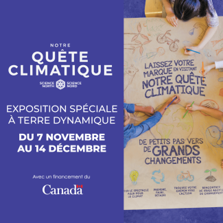 quatre mains tenant des crayons de couleur et coloriant différents éléments liés au climat — la terre, un vélo, des nuages, etc. — sur une grande feuille de papier brun étalée sur une table commune