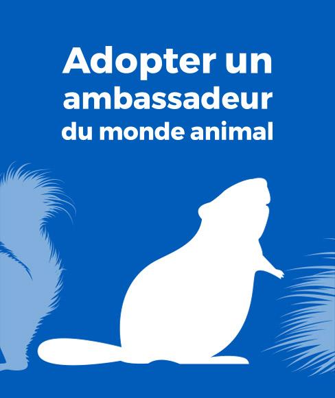 programme des ambassadeurs du monde animal