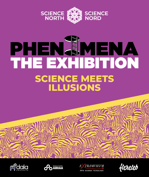 zebra patterned optical magic eye illusion on a deep purple background